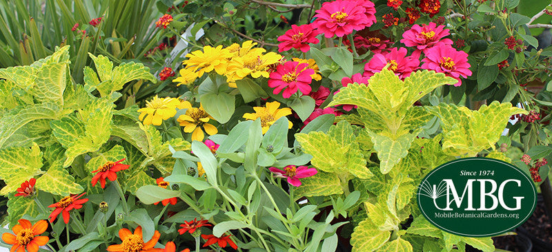 Our New Online Store!