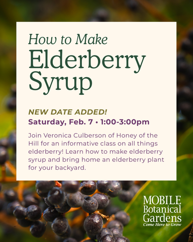 Elderberry Syrup Workshop - 2nd Date!