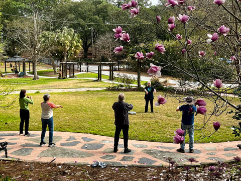 Intro to Qi Gong and Tai Chi