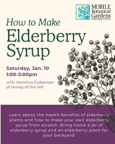 NEW! Elderberry Syrup Workshop