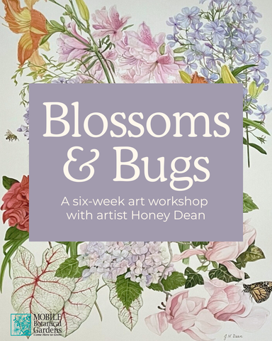 Blossoms and Bugs: Drawing and Painting Botanicals and Insects