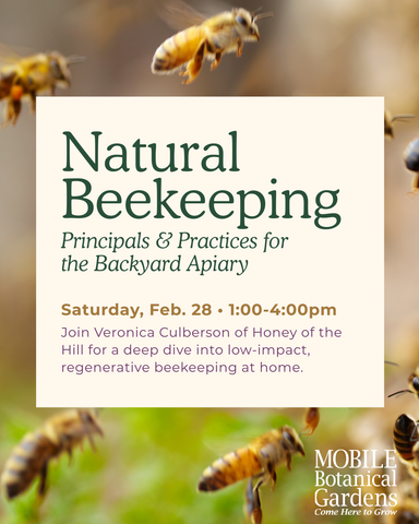 Natural Beekeeping: Principles and Practices for the Backyard Apiary