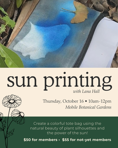 NEW! Sun Printing with Lana Hall