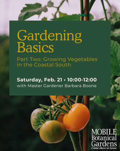 NEW! Gardening Basics Part 2: Growing Vegetables in the Coastal South