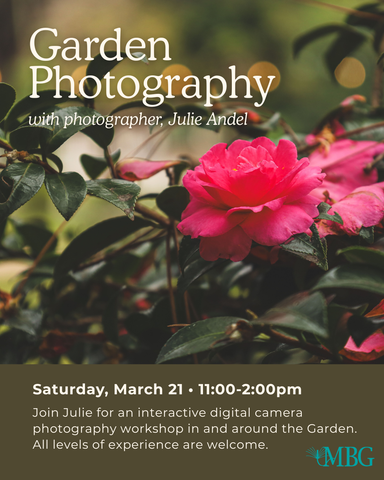 Garden Photography Workshop