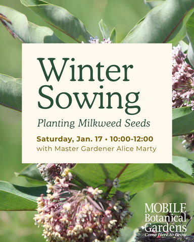 NEW! Winter Sowing - Milkweed Workshop