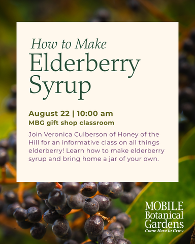 Elderberry Syrup Workshop