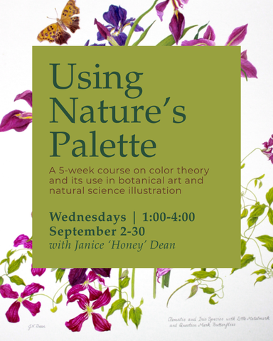 Using Nature's Palette
