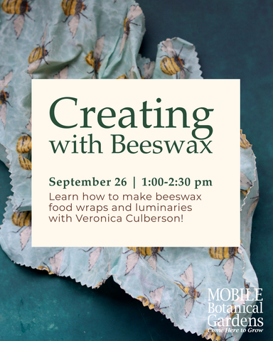 Creating with Beeswax