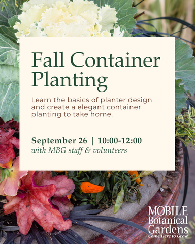 Fall Container Planting