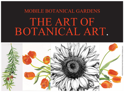 The Art of Botanical Art: Graphite Pencil Drawing