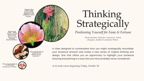 Botanical Art Class: "Thinking Strategically"